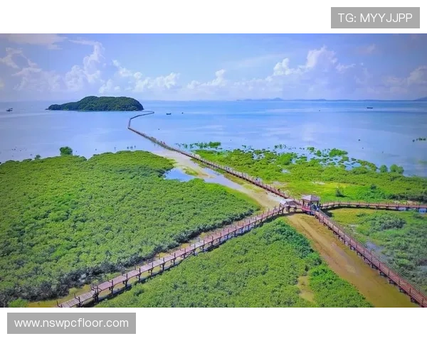 红树林娱乐：体验生态旅游与文化娱乐的深度融合，开启绿色休闲新篇章